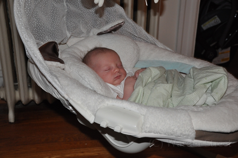 William's Third Week 16.jpg